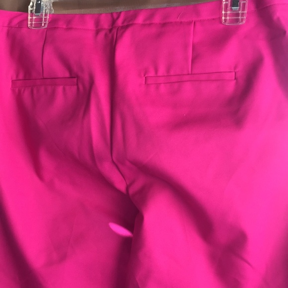 Cynthia Steffe Pants - Picture 8 of 10